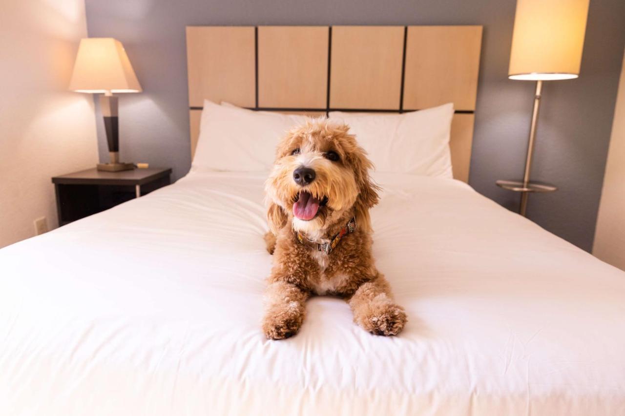 Sonesta Simply Suites Birmingham Hoover Eksteriør billede